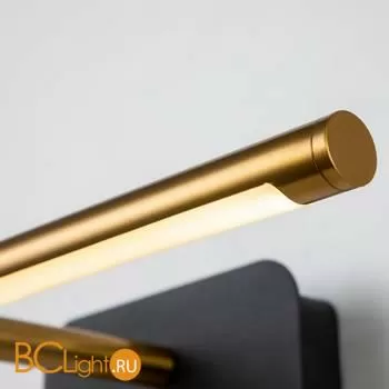 Подсветка для картин Favourite Insight 4016-1W - Фото 2