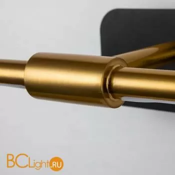 Подсветка для картин Favourite Insight 4016-1W - Фото 5