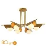 Потолочная люстра Favourite Kernel 2366-6P