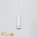 Подвесной светильник Favourite Kinescope 2453-1P