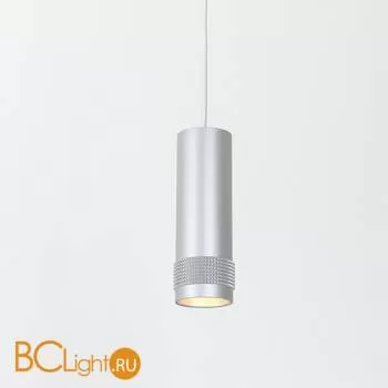 Подвесной светильник Favourite Kinescope 2454-1P