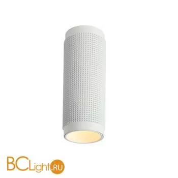 Потолочный светильник Favourite Kinescope 2453-1C