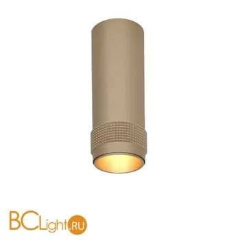 Потолочный светильник Favourite Kinescope 2455-1C