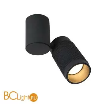 Потолочный светильник Favourite Kinescope 2452-1U