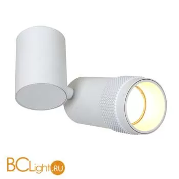 Потолочный светильник Favourite Kinescope 2453-1U