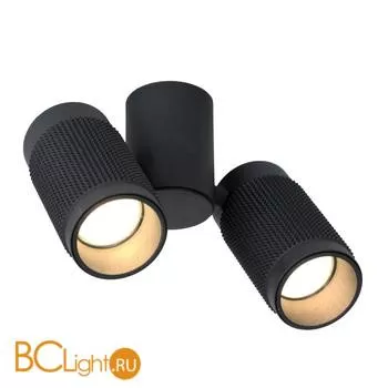 Потолочный светильник Favourite Kinescope 2452-2U