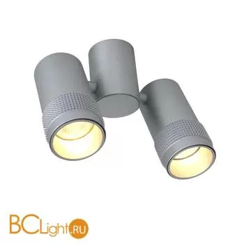 Потолочный светильник Favourite Kinescope 2454-2U