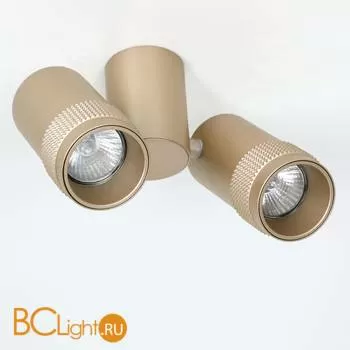 Потолочный светильник Favourite Kinescope 2455-2U - Фото 0