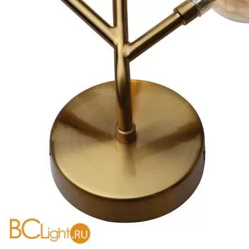 Бра Favourite Lash 2525-1W - Фото 0