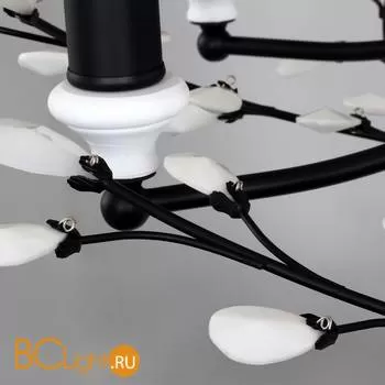 Люстра Favourite Laurel black 2174-6P - Фото 1