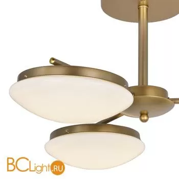 Потолочная люстра Favourite Ledante 2476-3P - Фото 2