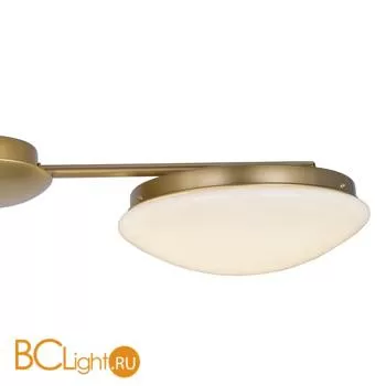 Потолочная люстра Favourite Ledante 2476-3P - Фото 0