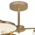 Потолочная люстра Favourite Ledante 2476-3P - Фото 3