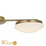 Потолочная люстра Favourite Ledante 2476-3P - Фото 0