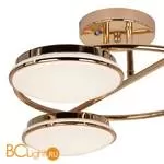 Потолочная люстра Favourite Ledante 2477-3U - Фото 3