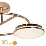 Потолочная люстра Favourite Ledante 2477-3U - Фото 0