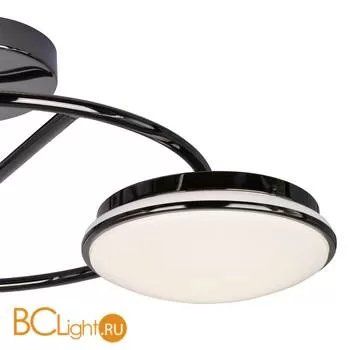 Потолочная люстра Favourite Ledante 2478-3U - Фото 1