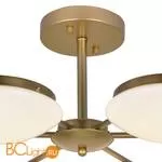 Потолочная люстра Favourite Ledante 2476-6P - Фото 5