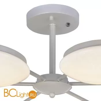 Потолочная люстра Favourite Ledante 2475-6P - Фото 2