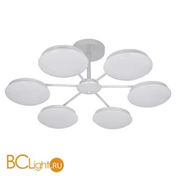 Потолочная люстра Favourite Ledante 2475-6P