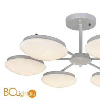 Потолочная люстра Favourite Ledante 2475-6P - Фото 1