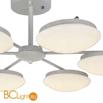 Потолочная люстра Favourite Ledante 2475-6P - Фото 3