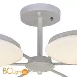 Потолочная люстра Favourite Ledante 2475-6P - Фото 2