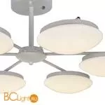 Потолочная люстра Favourite Ledante 2475-6P - Фото 3