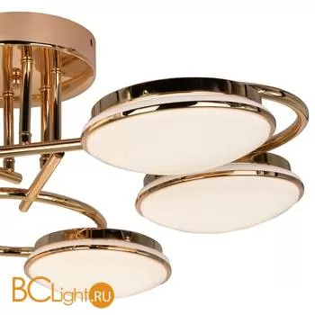 Потолочная люстра Favourite Ledante 2477-6U - Фото 2