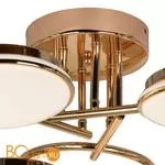 Потолочная люстра Favourite Ledante 2477-6U - Фото 4