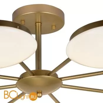 Потолочная люстра Favourite Ledante 2476-8P - Фото 2