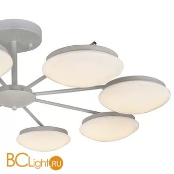 Потолочная люстра Favourite Ledante 2475-8P - Фото 1