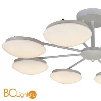 Потолочная люстра Favourite Ledante 2475-8P - Фото 4