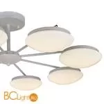 Потолочная люстра Favourite Ledante 2475-8P - Фото 1