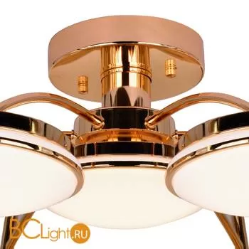 Потолочная люстра Favourite Ledante 2473-7P - Фото 3