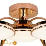 Потолочная люстра Favourite Ledante 2473-7P - Фото 3