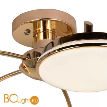 Потолочная люстра Favourite Ledante 2473-5P - Фото 3