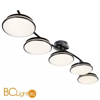 Потолочный светильник Favourite Ledante 2478-5U - Фото 0