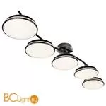 Потолочный светильник Favourite Ledante 2478-5U - Фото 0