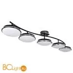 Потолочный светильник Favourite Ledante 2478-5U