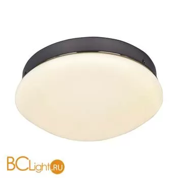 Потолочный светильник Favourite Ledante 2468-1C - Фото 0