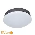 Потолочный светильник Favourite Ledante 2468-1C