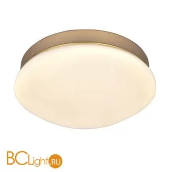 Потолочный светильник Favourite Ledante 2466-1C - Фото 0