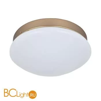 Потолочный светильник Favourite Ledante 2466-1C