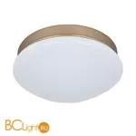 Потолочный светильник Favourite Ledante 2466-1C