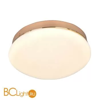 Потолочный светильник Favourite Ledante 2465-1C - Фото 0