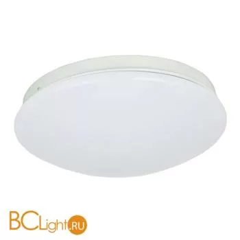 Потолочный светильник Favourite Ledante 2469-2C