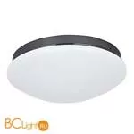 Потолочный светильник Favourite Ledante 2468-2C