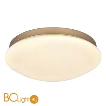 Потолочный светильник Favourite Ledante 2466-2C - Фото 0