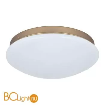 Потолочный светильник Favourite Ledante 2466-2C